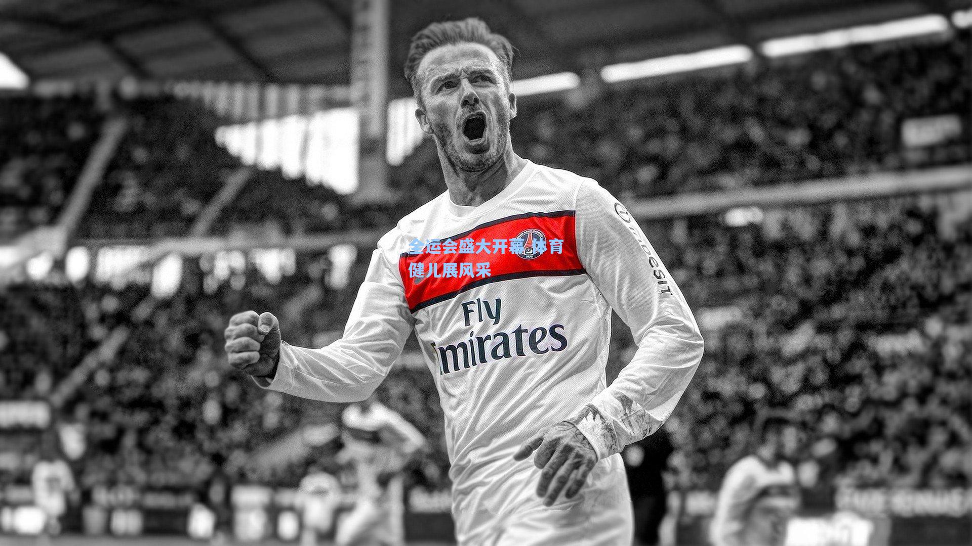 全运会盛大开幕 体育健儿展风采