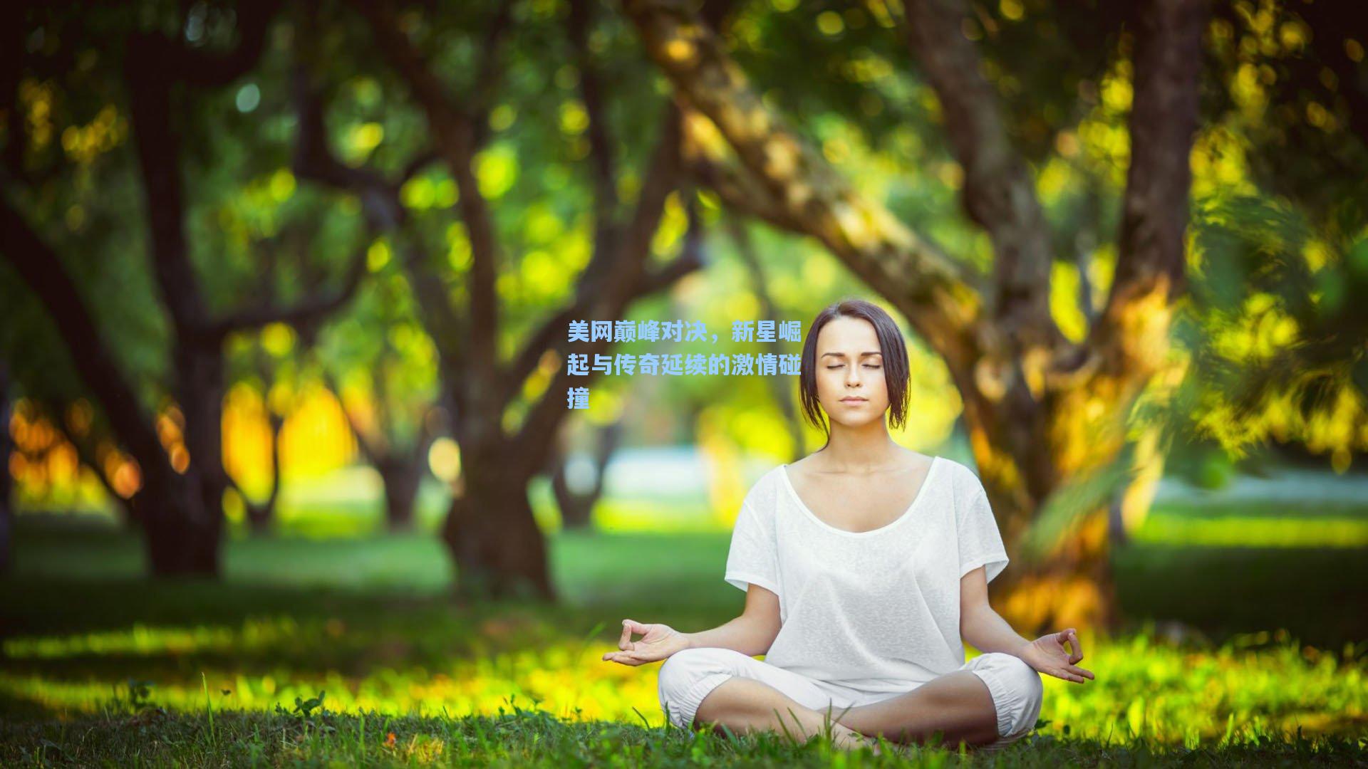 美网巅峰对决，新星崛起与传奇延续的激情碰撞