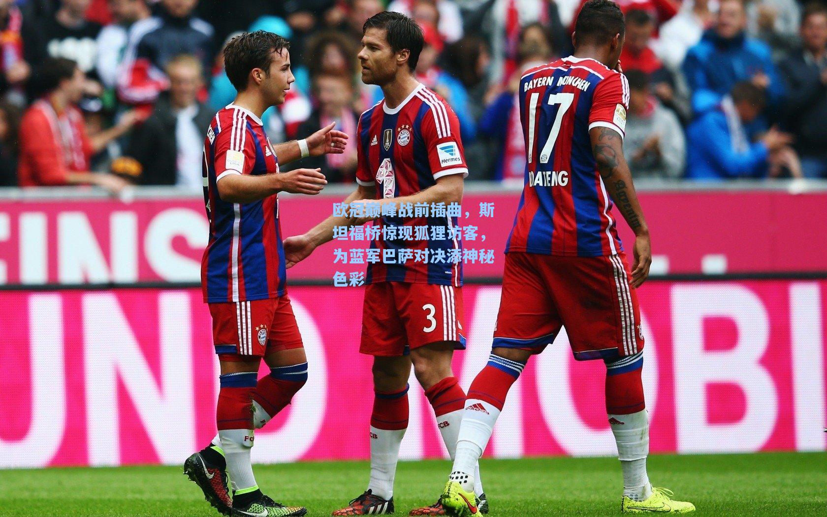 欧冠巅峰战前插曲，斯坦福桥惊现狐狸访客，为蓝军巴萨对决添神秘色彩